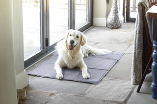 Dog Cooling Mat Grey