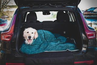 Dog Drying Bag - Teal