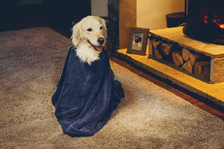 Dog Drying Bag - French Navy