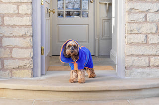 Dog Drying Coat - Royal Blue