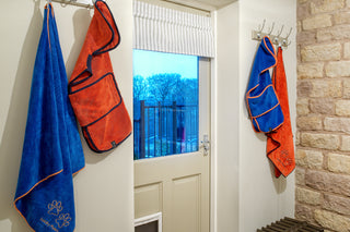 Dog Drying Coat - Royal Blue