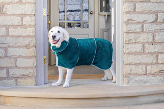 Dog Drying Coat - Teal