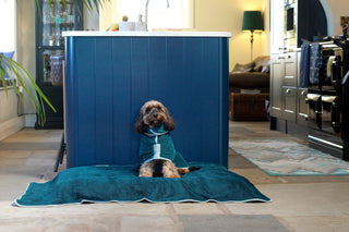 Dog Drying Coat - Teal