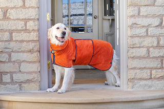 Dog Drying Coat - Amber