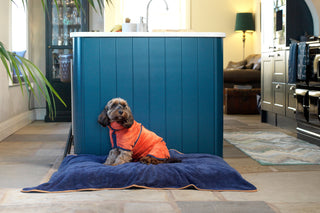 Dog Drying Coat - Amber
