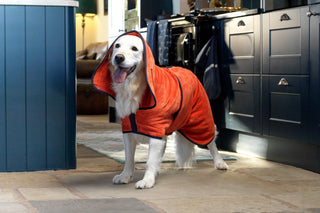 Dog Drying Coat - Amber