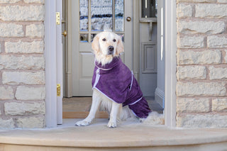Dog Drying Coat - Aubergine