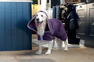 Dog Drying Coat - Aubergine