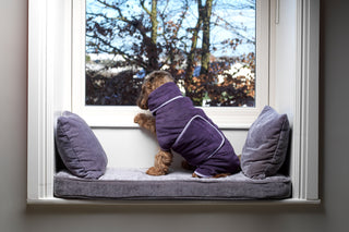 Dog Drying Coat - Aubergine