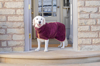 Dog Drying Coat - Plum