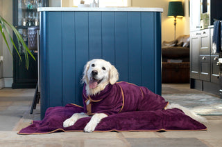 Dog Drying Coat - Plum