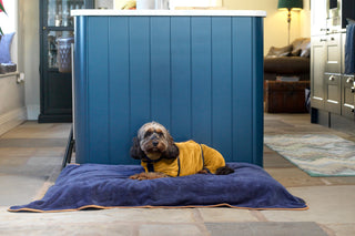 Dog Drying Coat - Ochre