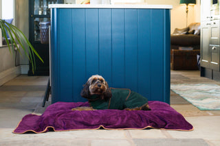 Dog Drying Coat - Hunter Green