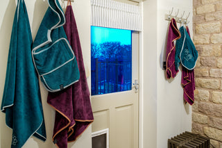 Original Dog Towel - Teal