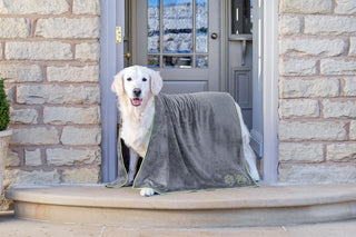 Original Dog Towel - Multicolour 1