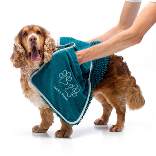 Noodle Dog Towel Teal