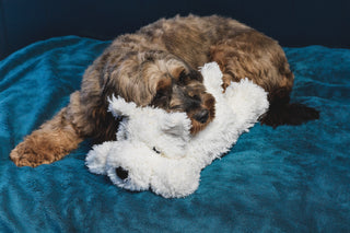 Puppy Heartbeat Comforter - Snowy