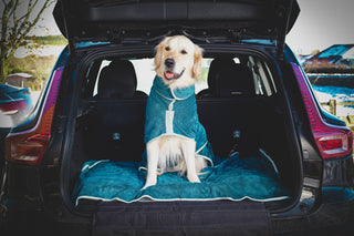 Luxurious Dog Towel - Teal