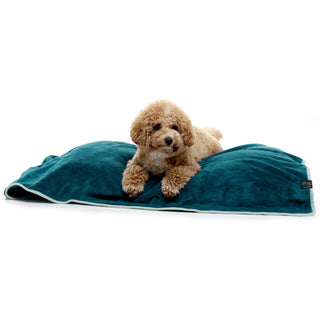 Luxurious Dog Towel - Teal