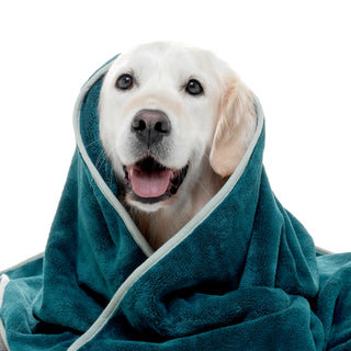 Luxurious Dog Towel - Teal