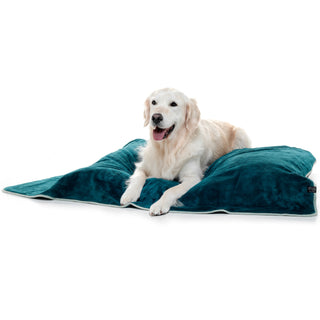 Luxurious Dog Towel - Teal