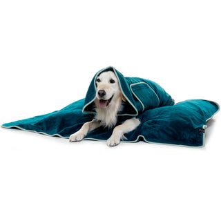 Luxurious Dog Towel - Teal