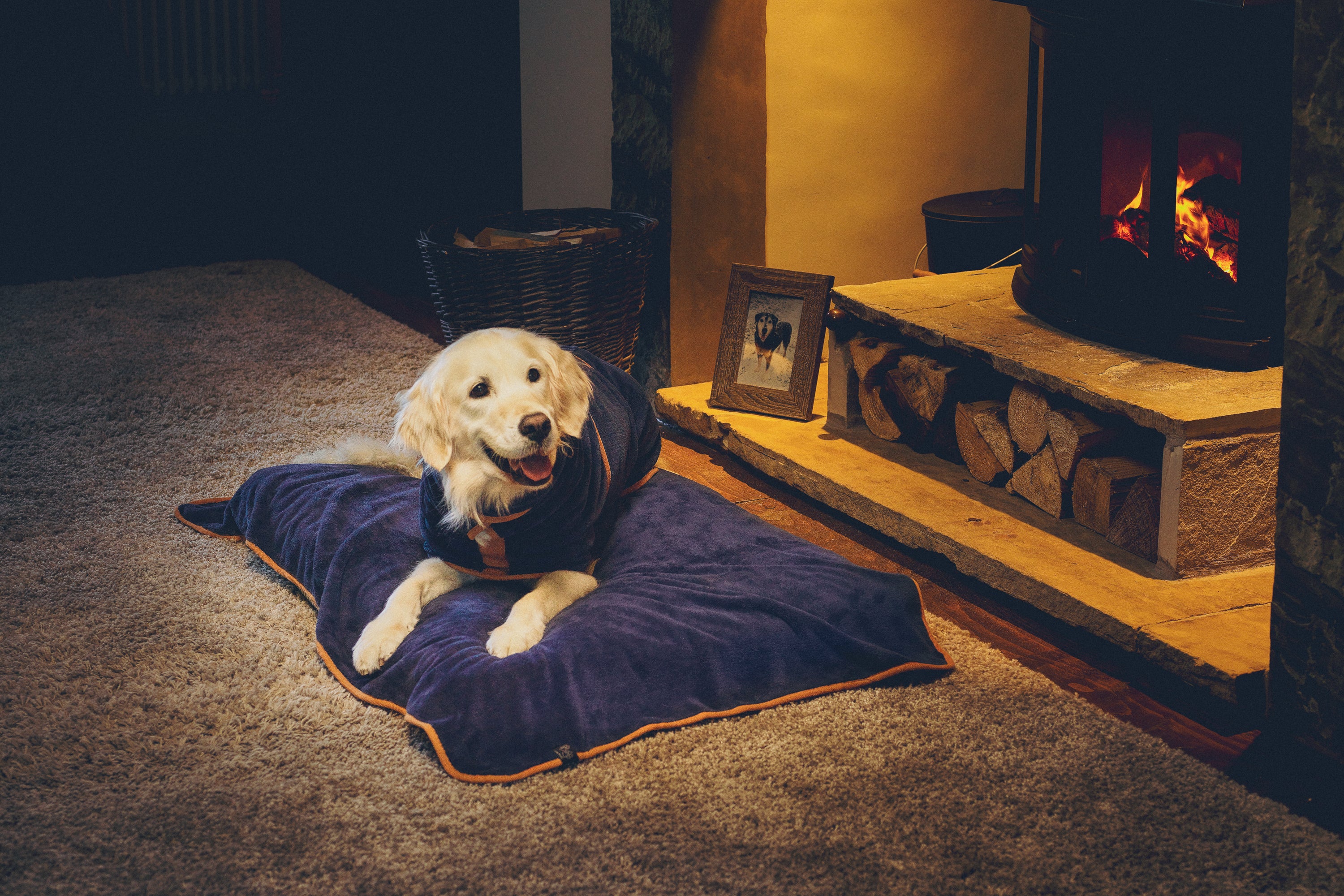 Dante Dog Bath Towel | 100% Cotton Ultra-Absorbent Pet Towel | Quick-Drying With Hood | Dog Blanket & Bathrobe | For Medium To Large Dogs