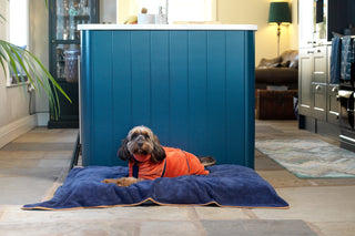 Luxurious Dog Towel - French Navy