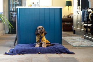 Luxurious Dog Towel - French Navy
