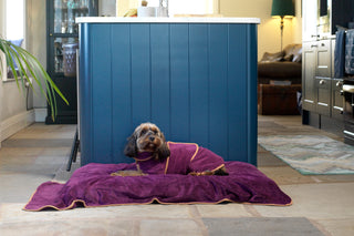 Luxurious Dog Towel - Plum