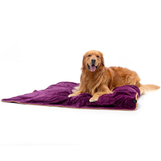 Luxurious Dog Towel - Plum
